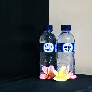 Проживание в семье Ulu Bali